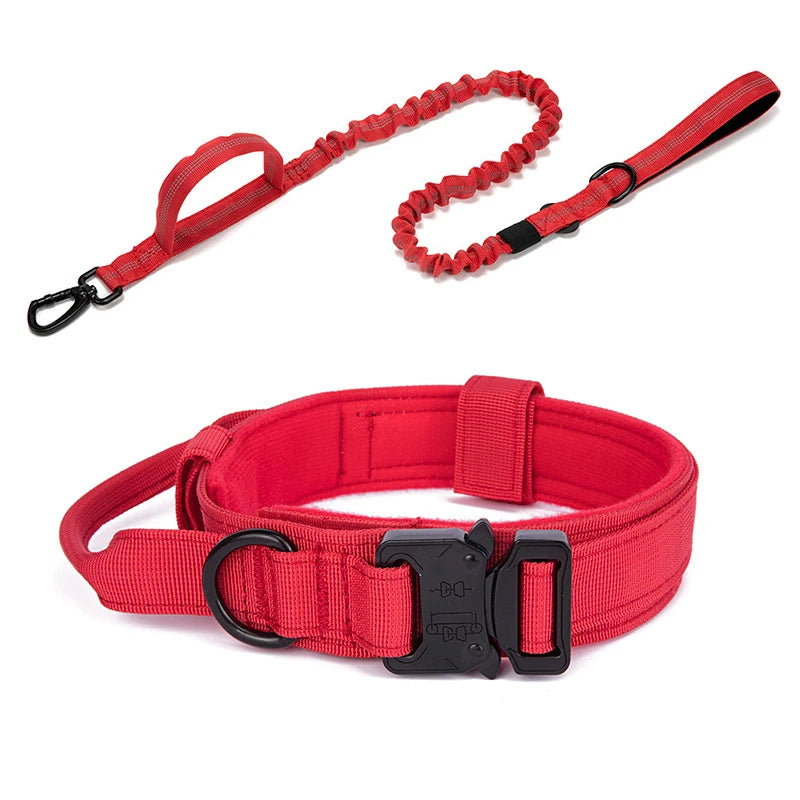 Dog Collar Leash & Leash Set Dog Stuff
