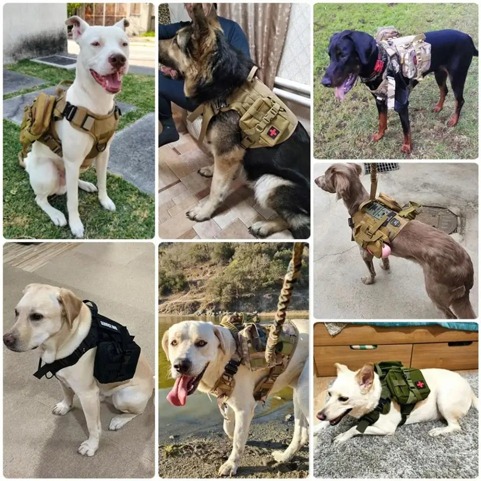 Dog Harness Collar Leash Bags No Pull Dog Stuff