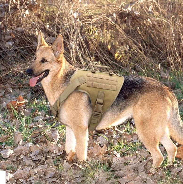 Dog Harness Collar Leash Bags No Pull Dog Stuff