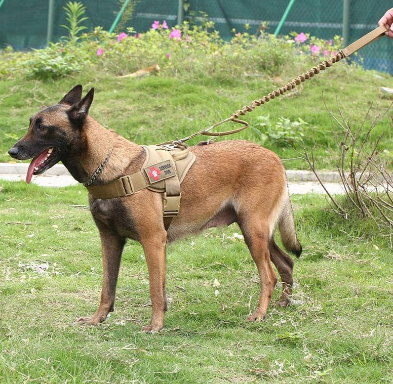 Military-Grade Tactical Dog Harness Dog Stuff