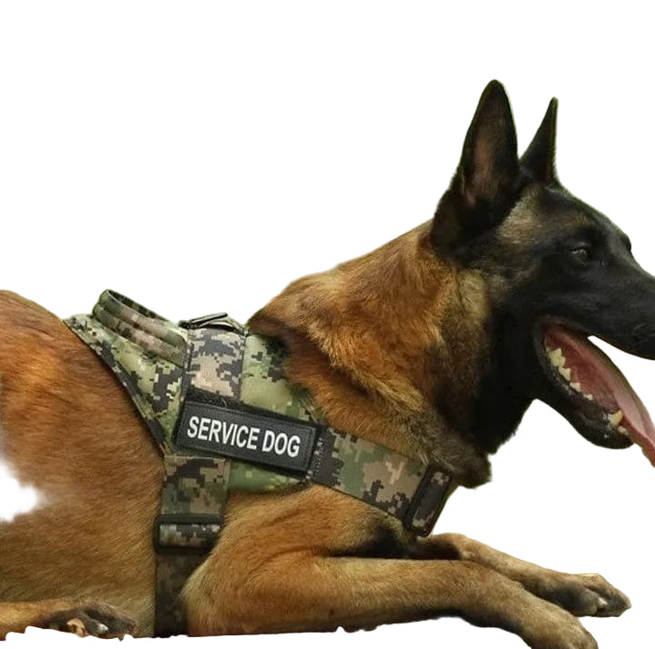 Military-Grade Tactical Dog Harness Dog Stuff