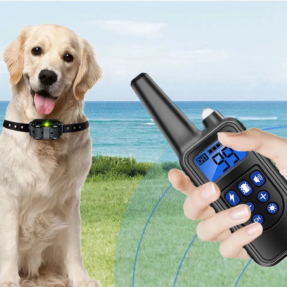 Rechargeable Dog Training & Anti-Bark Collar 800m Dog Stuff