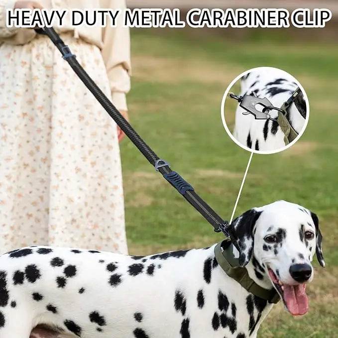 Reflective Shock Absorbing Dog Leash Seatbelt Buckle Dog Stuff