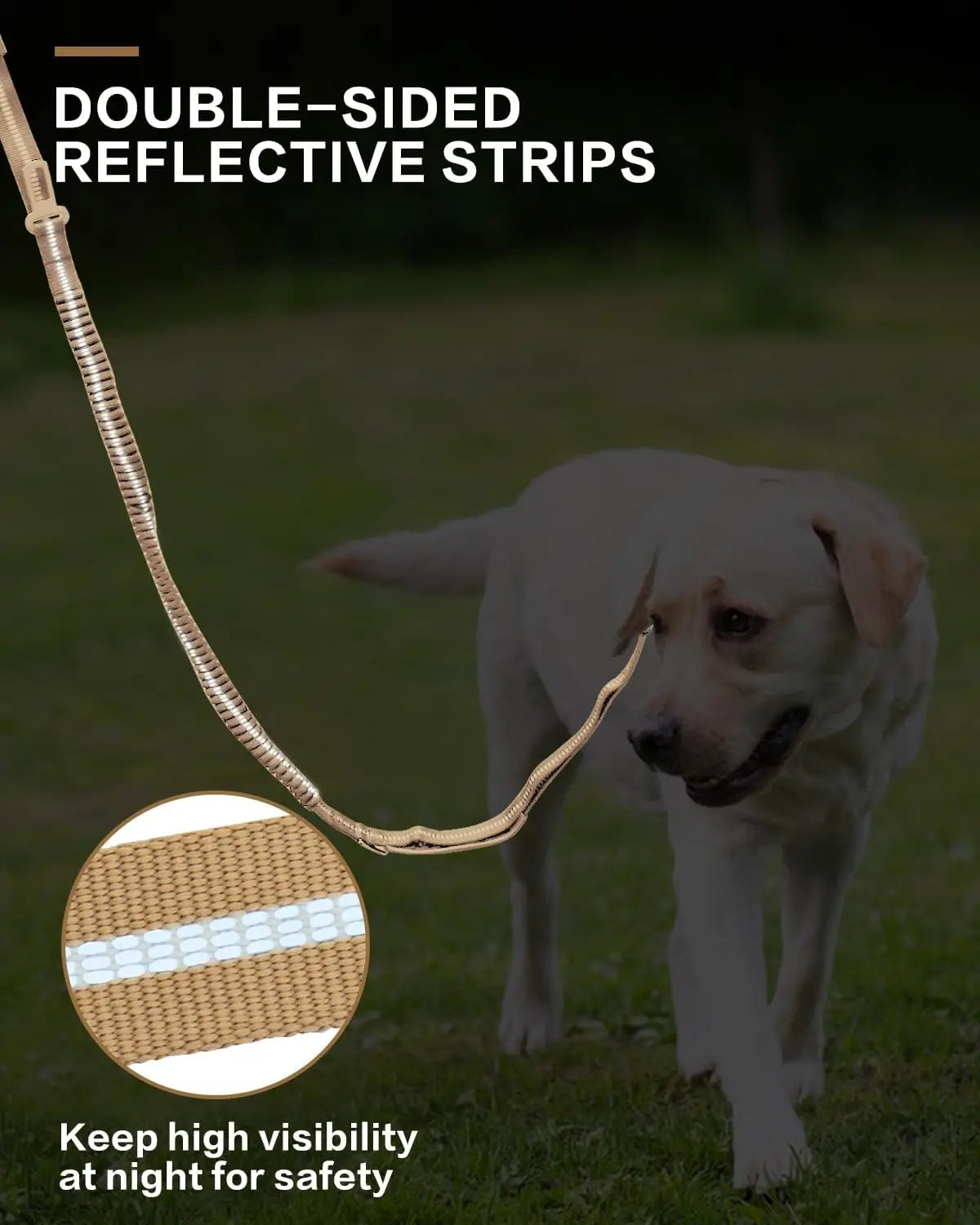 Reflective Shock Absorbing Dog Leash Seatbelt Buckle Dog Stuff