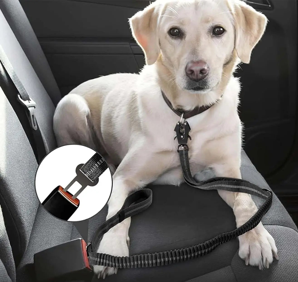 Reflective Shock Absorbing Dog Leash Seatbelt Buckle Dog Stuff