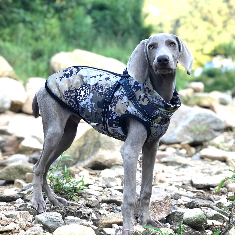 S-5XL Warm Winter Dog Coat Jacket With Harness Dog Stuff