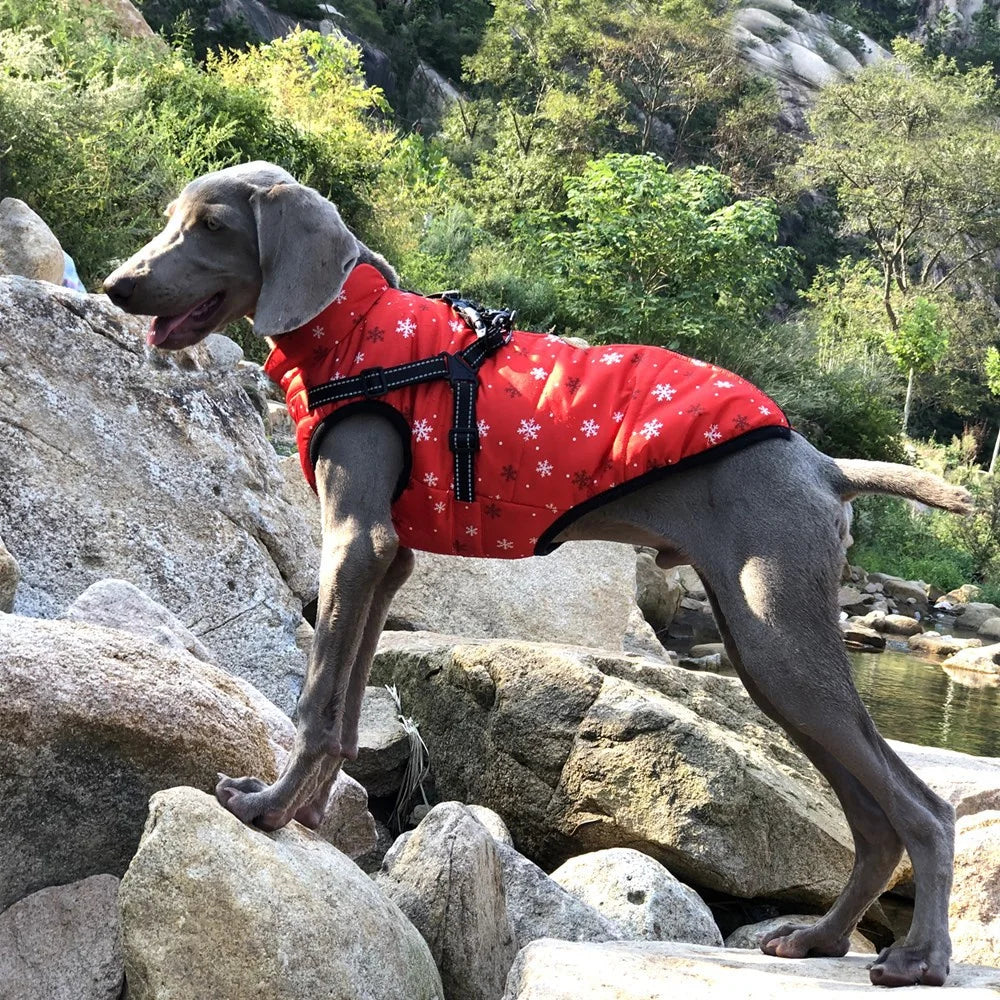 S-5XL Warm Winter Dog Coat Jacket With Harness Dog Stuff