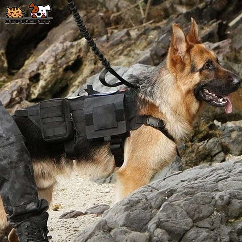 S M L XL Dog Harness Vest with Molle packs Dog Stuff