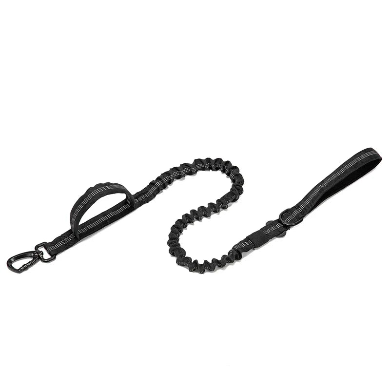 Dog Collar Leash & Leash Set