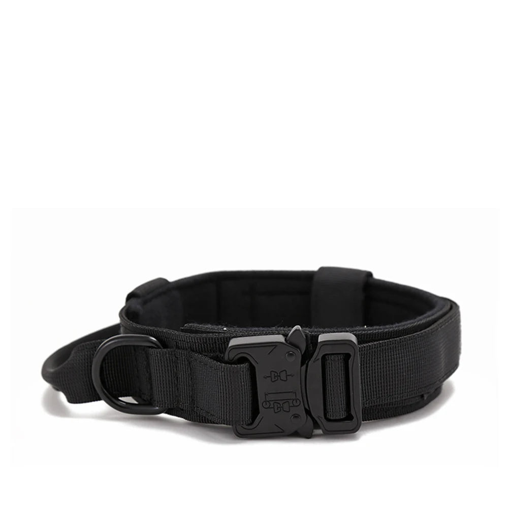 Dog Collar Leash & Leash Set