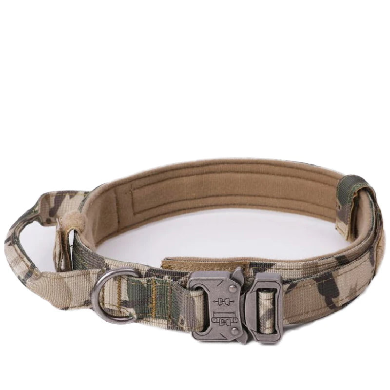 Dog Collar Leash & Leash Set
