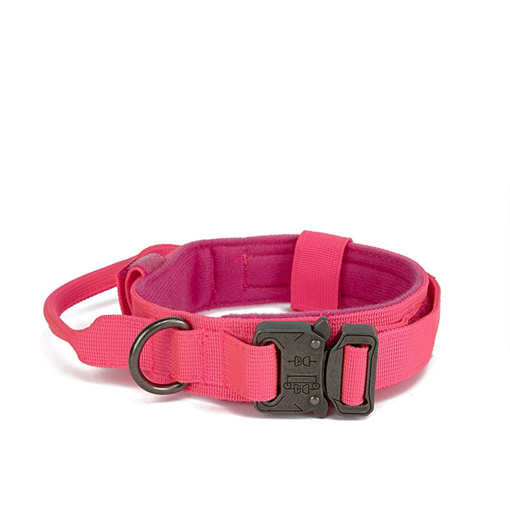 Dog Collar Leash & Leash Set