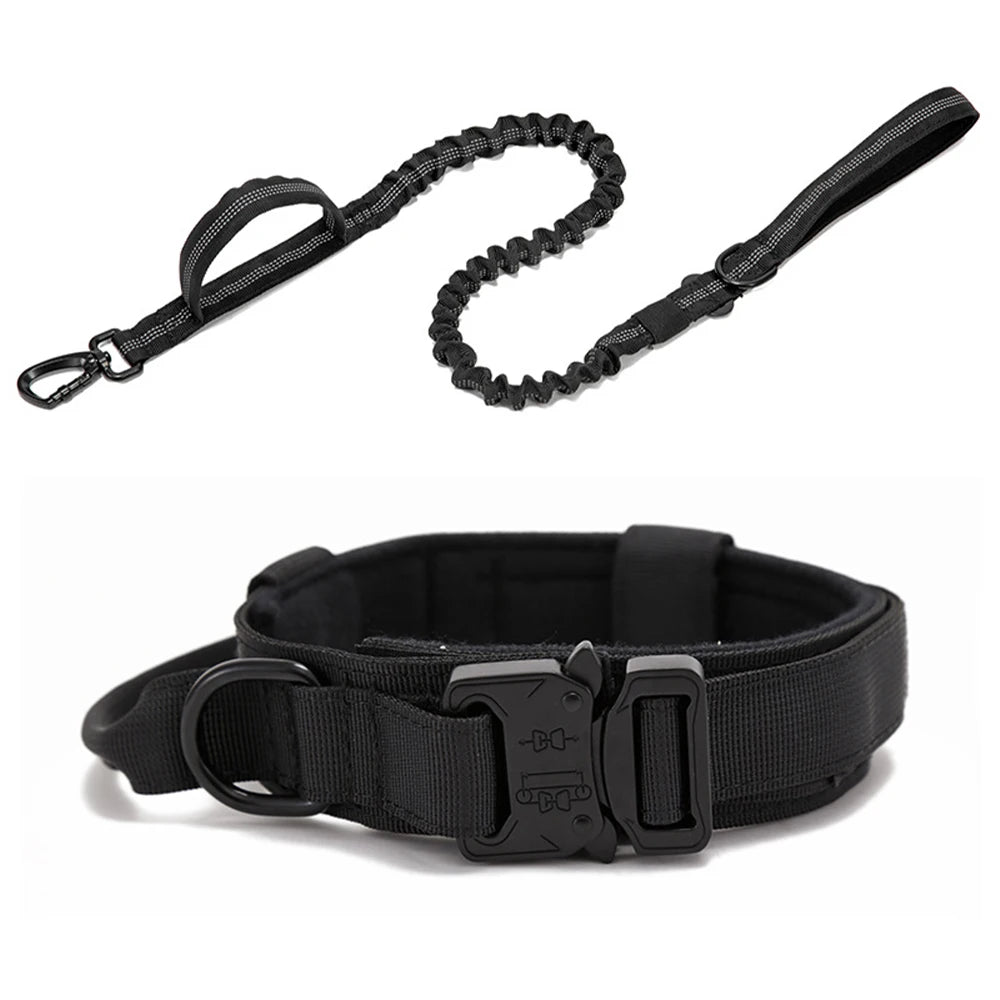 Dog Collar Leash & Leash Set