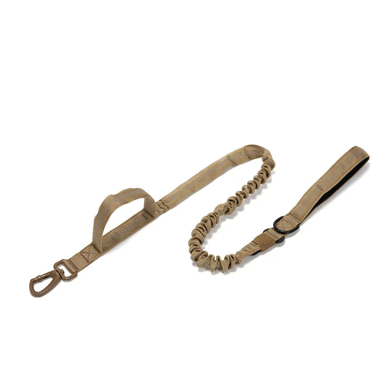 Dog Collar Leash & Leash Set
