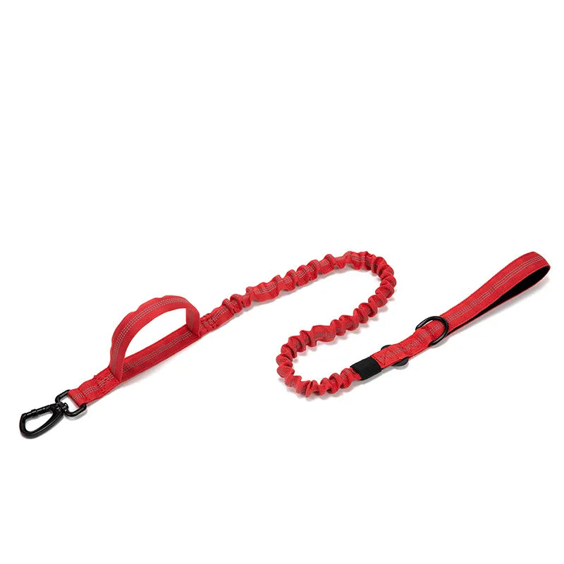 Dog Collar Leash & Leash Set