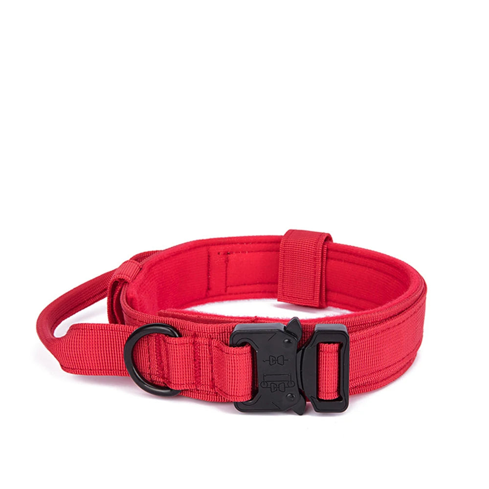 Dog Collar Leash & Leash Set