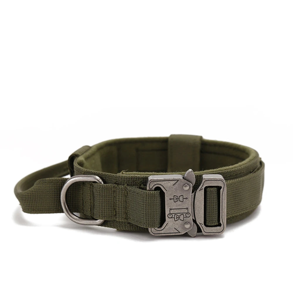 Dog Collar Leash & Leash Set