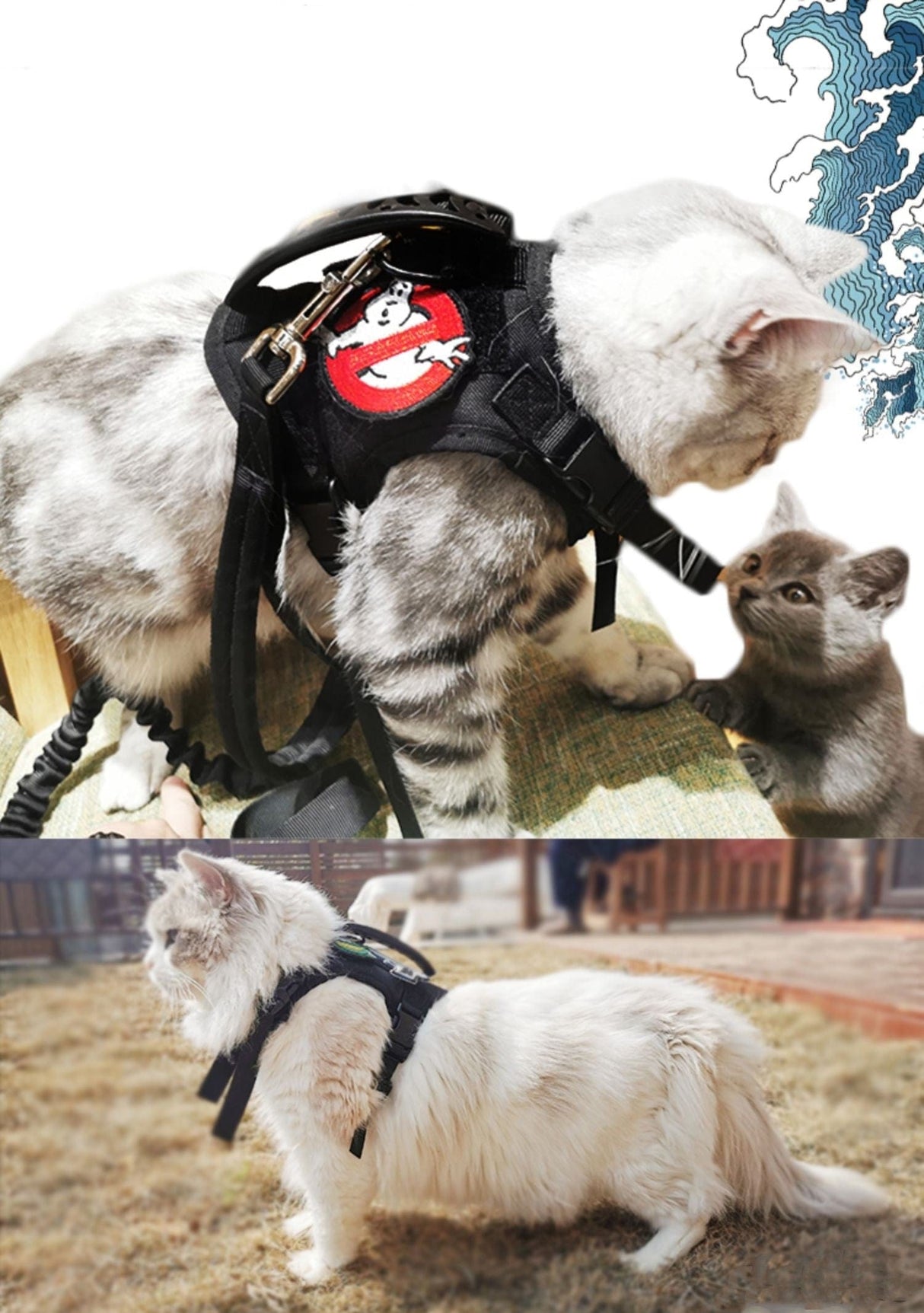 Dog Harness Leash Set for Small Dogs & Cats Dog Stuff