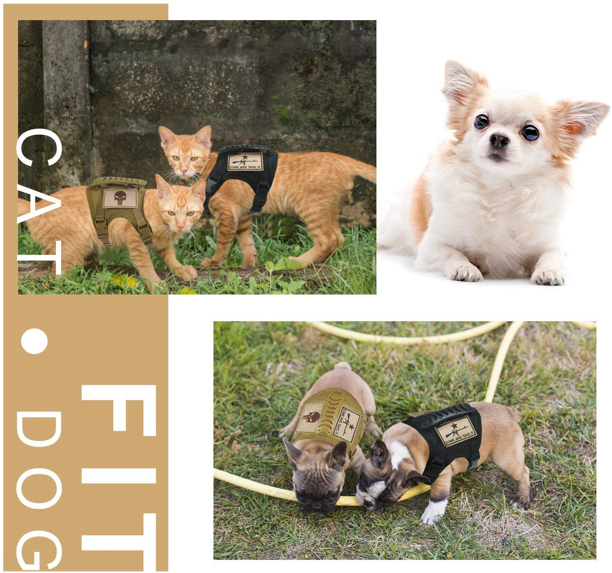 Dog Harness Leash Set for Small Dogs & Cats Dog Stuff