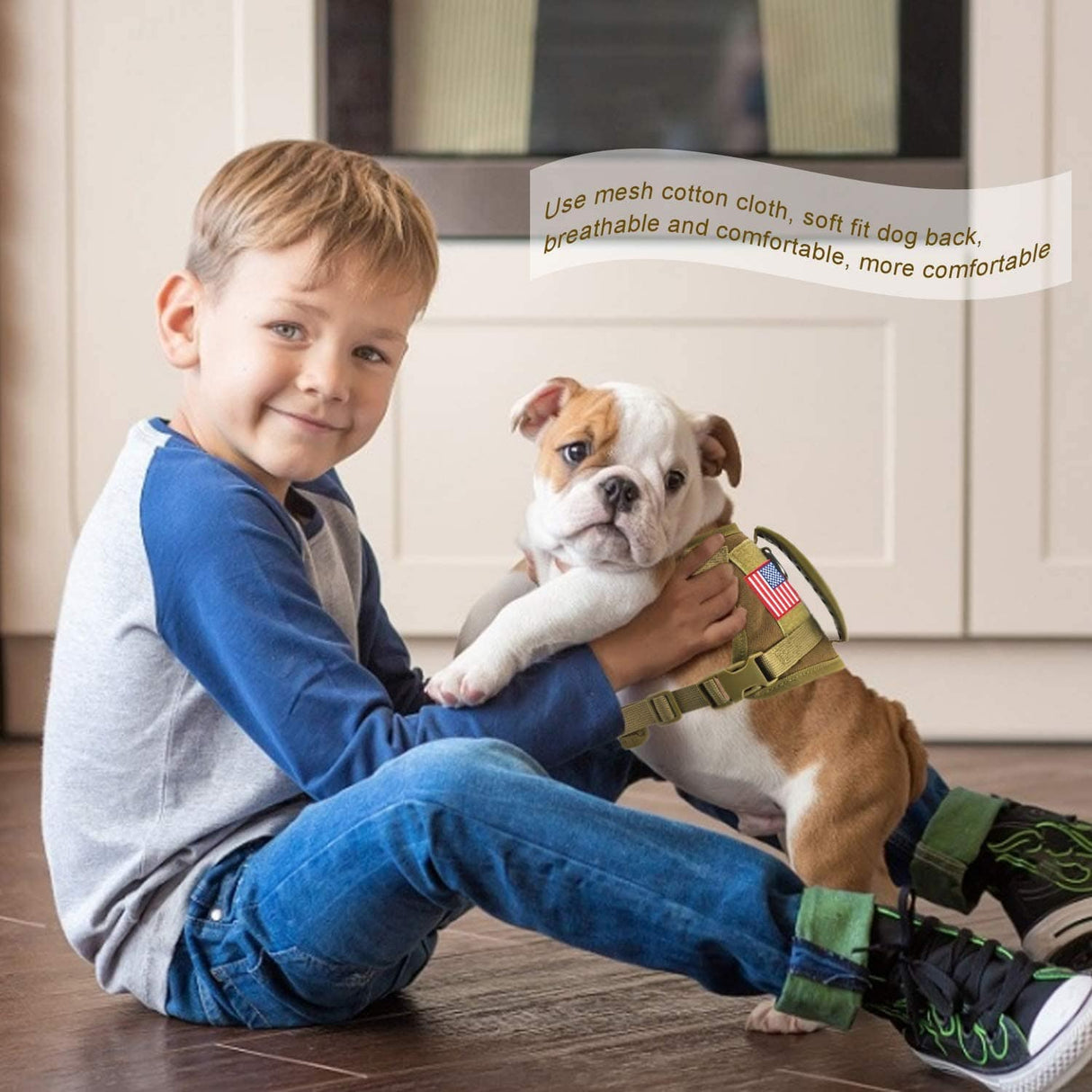 Dog Harness Leash Set for Small Dogs & Cats Dog Stuff