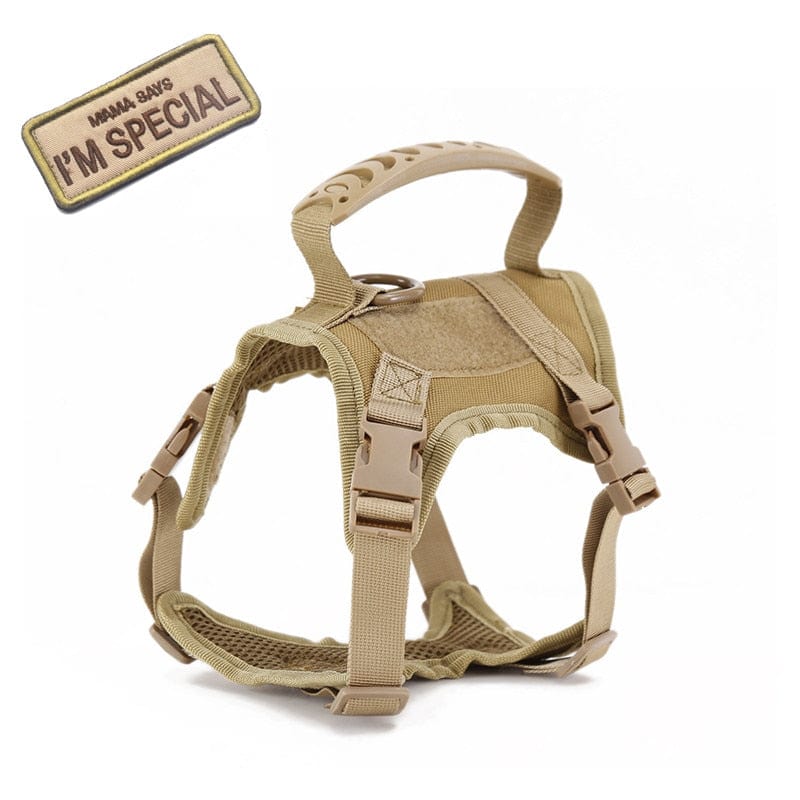 Dog Harness Leash Set for Small Dogs & Cats Dog Stuff
