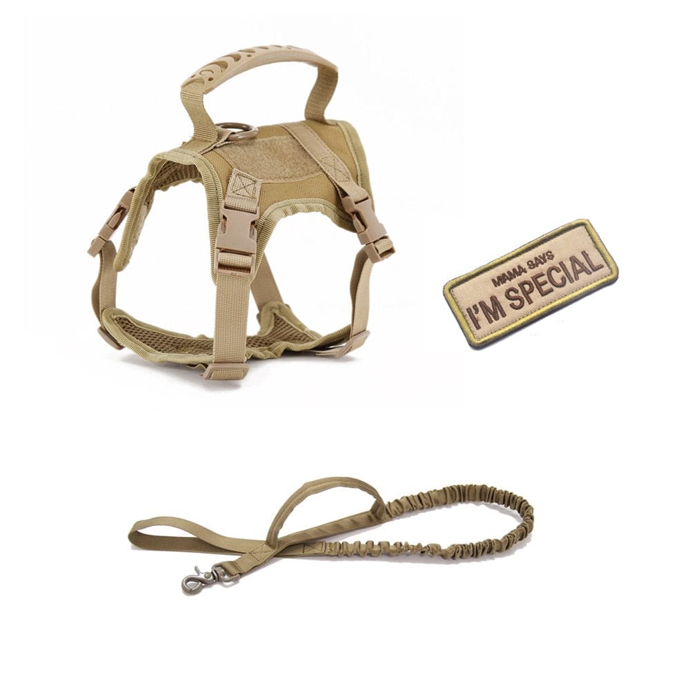 Dog Harness Leash Set for Small Dogs & Cats Dog Stuff