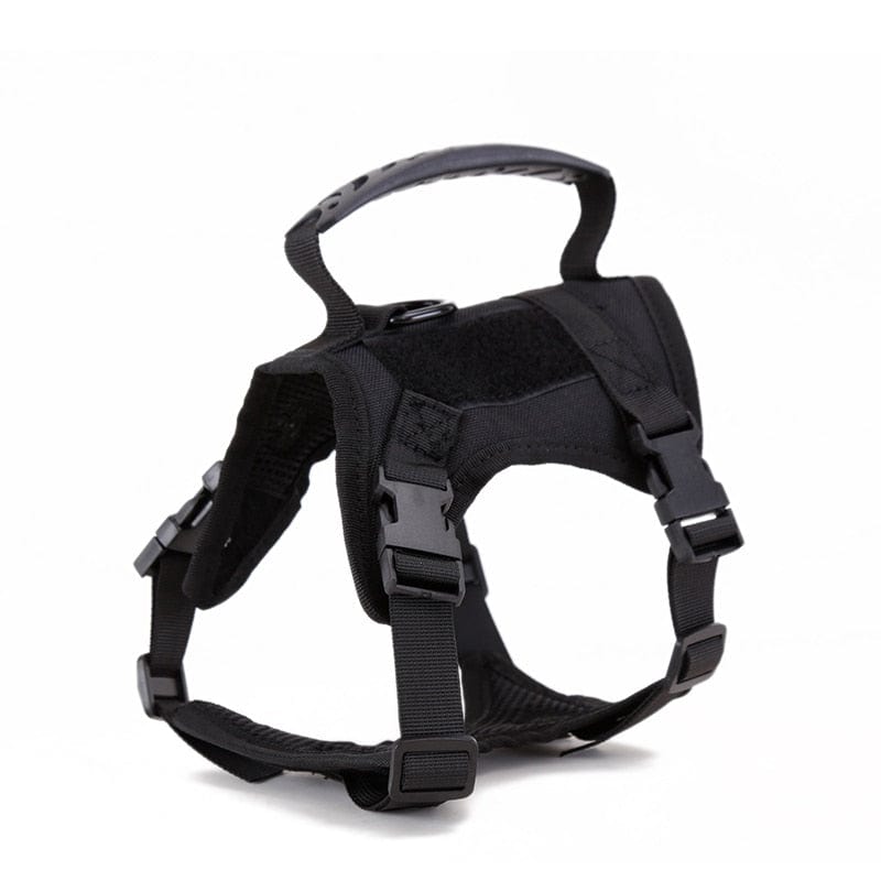 Dog Harness Leash Set for Small Dogs & Cats Dog Stuff