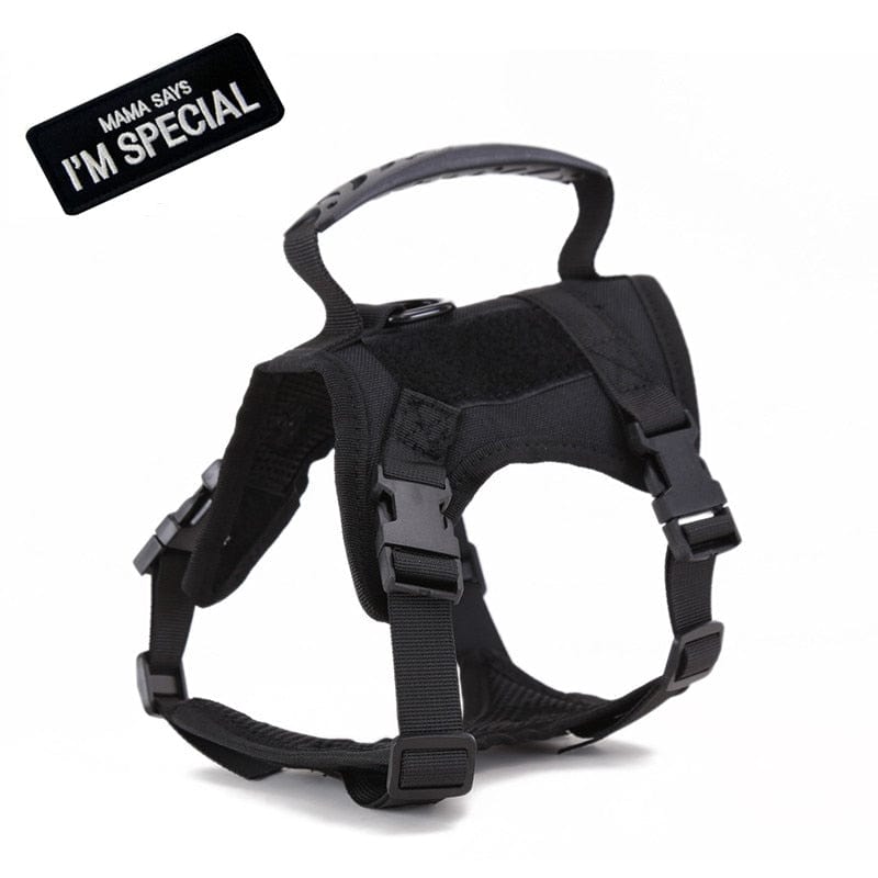 Dog Harness Leash Set for Small Dogs & Cats Dog Stuff
