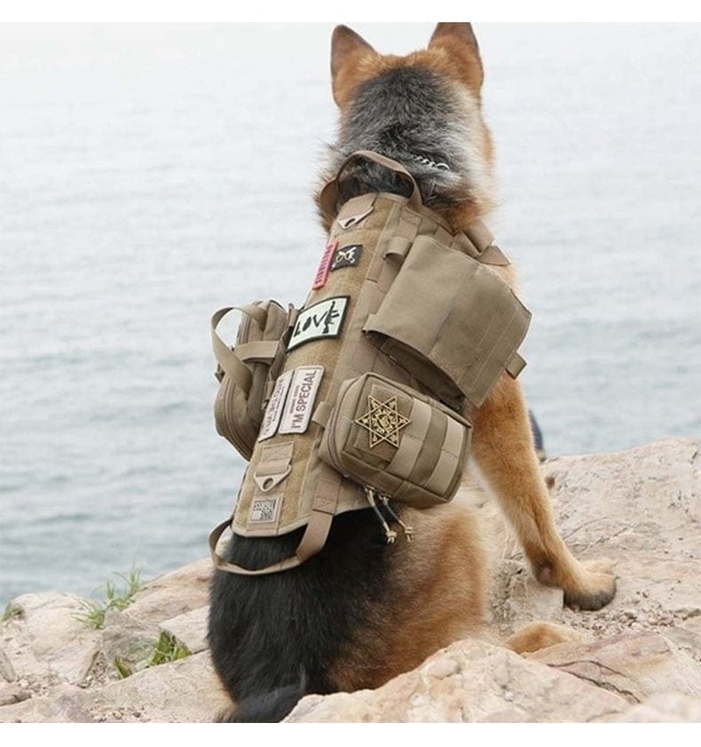 S M L XL Dog Harness Vest with Molle packs Dog Stuff