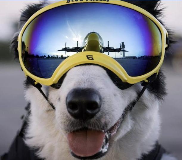 Hi-Vis & Safety Gear