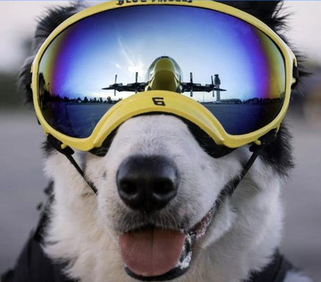 Hi-Vis & Safety Gear