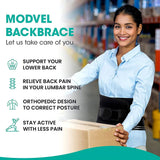 Back Brace for Lower Back Pain Lumbar Support Hi-Vis & Safety  