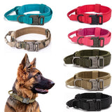 Dog Collar Leash  & Leash  Set Dog Stuff  