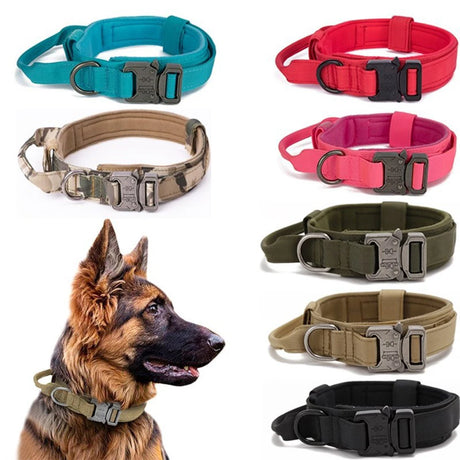 Dog Collar Leash  & Leash  Set Dog Stuff  