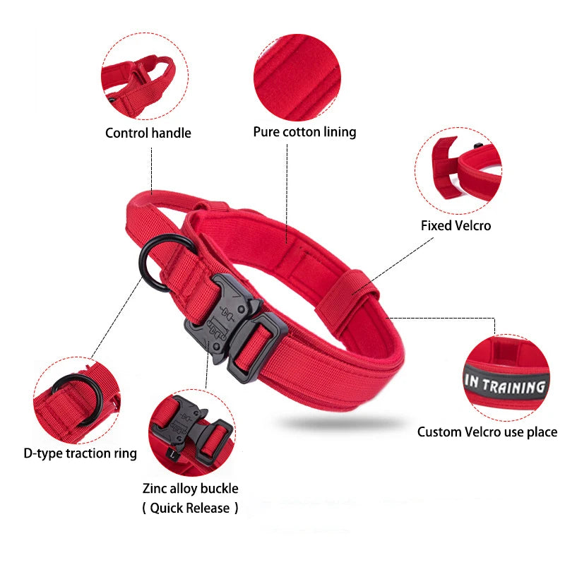 Dog Collar Leash  & Leash  Set Dog Stuff  