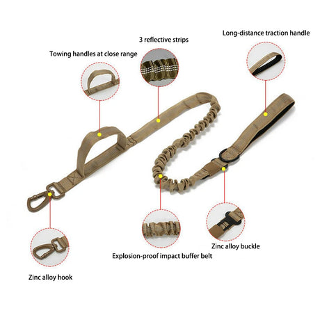 Dog Collar Leash  & Leash  Set Dog Stuff  