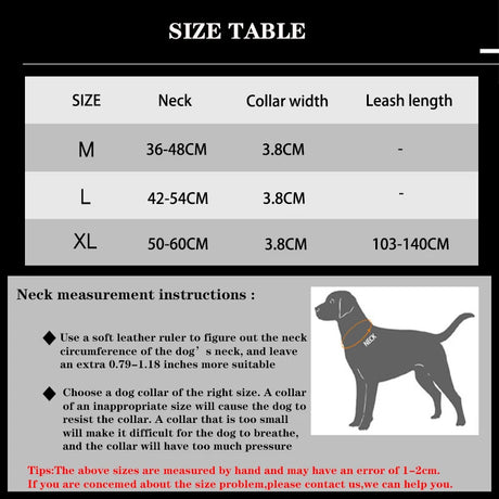 Dog Collar Leash  & Leash  Set Dog Stuff  