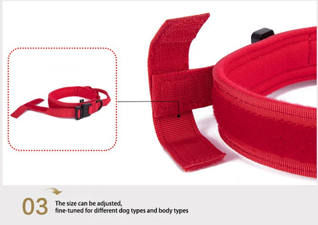 Dog Collar Leash  & Leash  Set Dog Stuff  