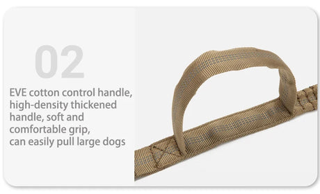 Dog Collar Leash  & Leash  Set Dog Stuff  