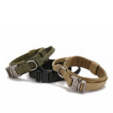 Dog Collar Leash  & Leash  Set Dog Stuff  