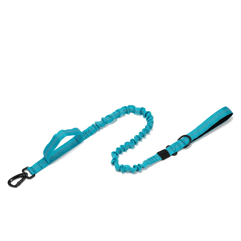 Dog Collar Leash  & Leash  Set Dog Stuff  