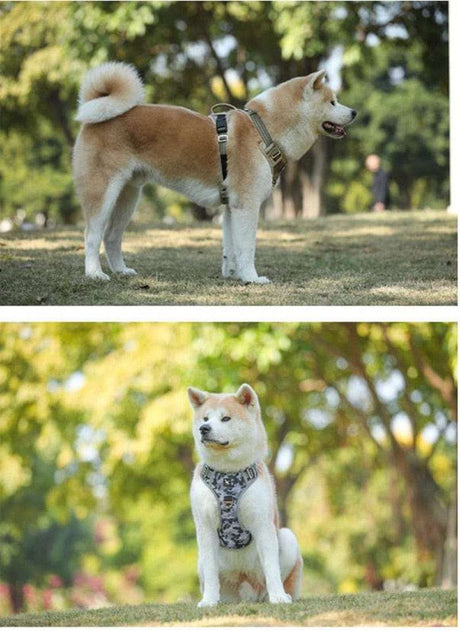 Dog Harness Adjustable Large & Medium Dog Stuff  