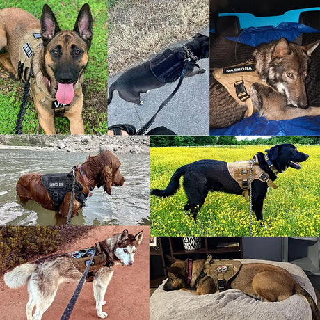 Dog Harness Collar Leash Bags No Pull Dog Stuff  