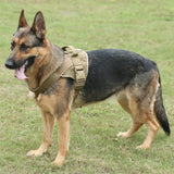 Military-Grade Tactical Dog Harness Dog Stuff  