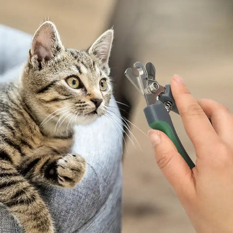 Professional  Dog  Cat Pet Animal Nail Clippers Stainless Steel   