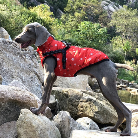 S-5XL Warm Winter Dog Coat Jacket With Harness Dog Stuff  