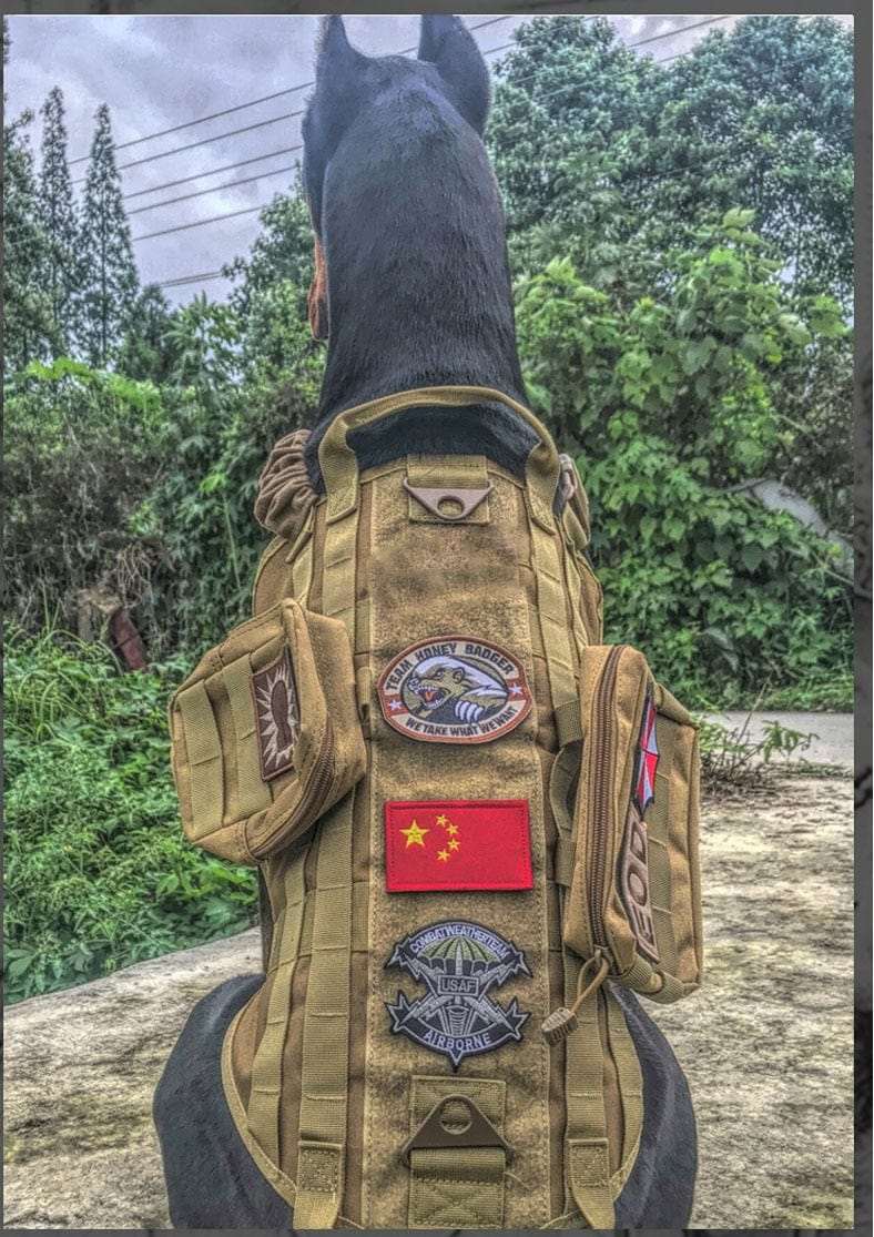 S M L XL Dog Harness Vest with Molle packs Dog Stuff  