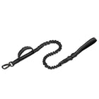 Dog Collar Leash  & Leash  Set