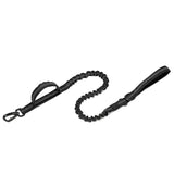 Dog Collar Leash  & Leash  Set