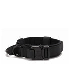 Dog Collar Leash  & Leash  Set